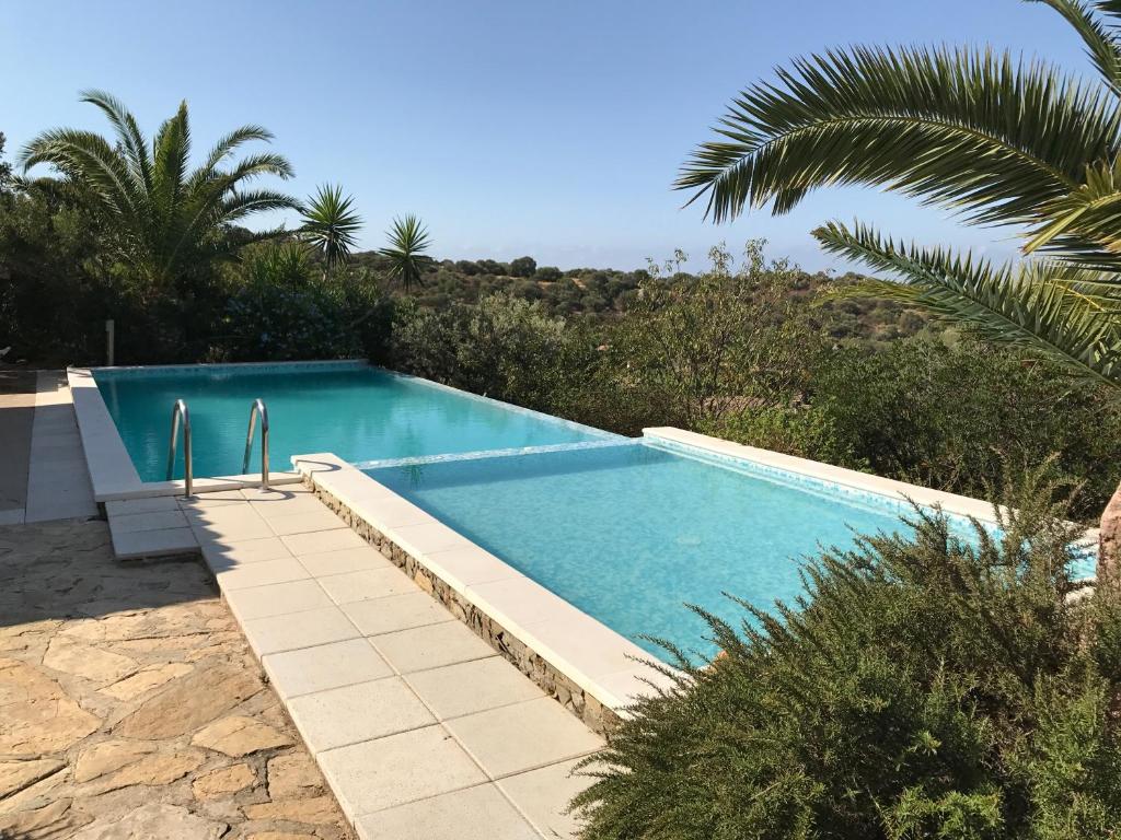 卡皮塔纳villa Orchidee Sardegna的树木繁茂的庭院中的一个游泳池