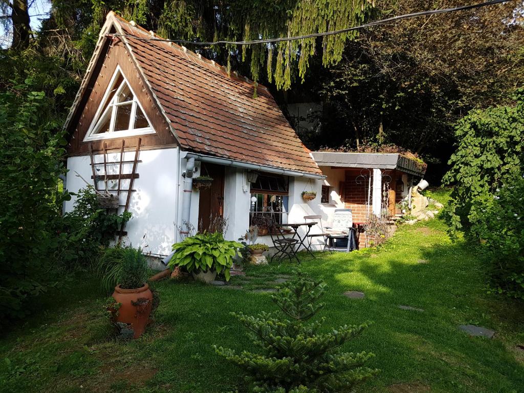 塔勒Wohnen im Hühnerhaus的一座带草地庭院的白色小房子
