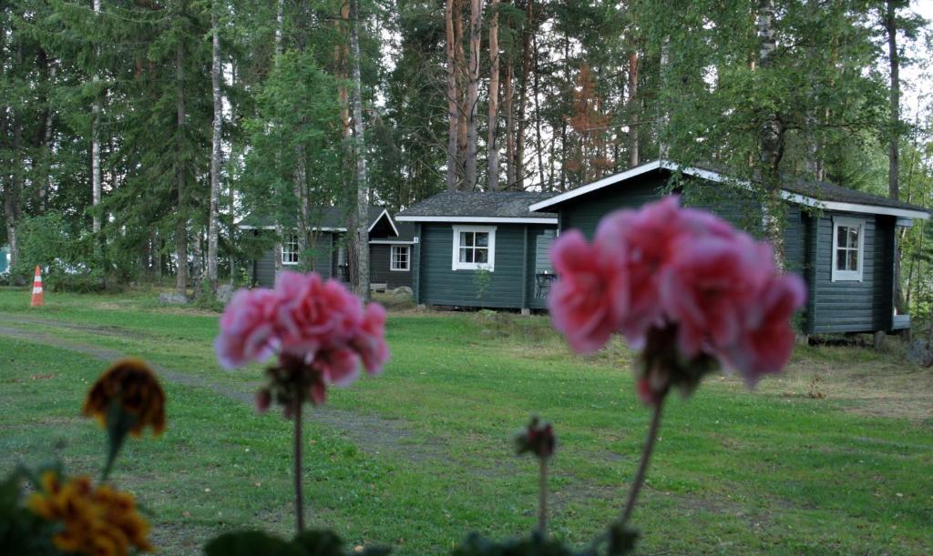 萨斯塔马拉特瓦卡里奥宿营地的前景中粉红色花的房屋