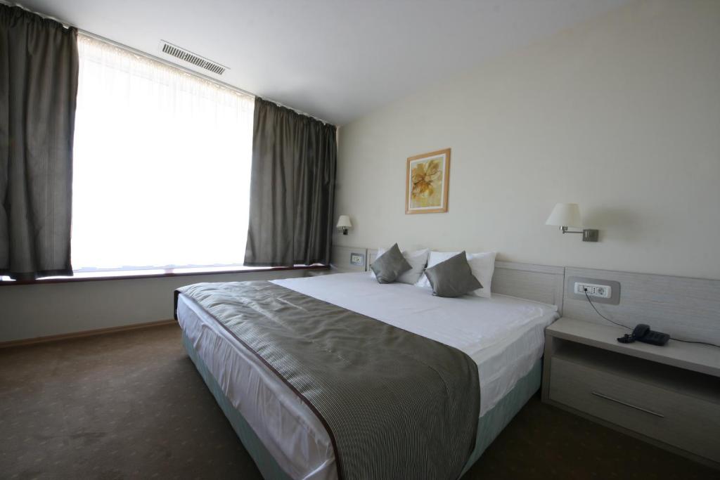 蒂米什瓦拉萨沃伊酒店的一间设有大床和窗户的酒店客房