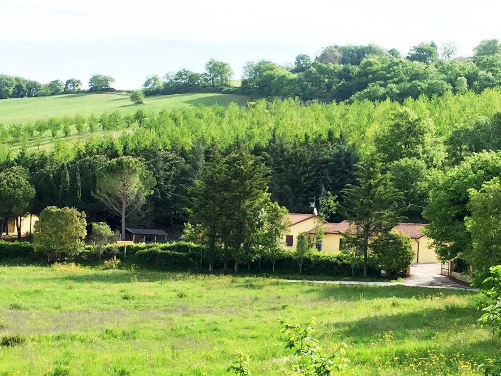阿西西Agriturismo Sotto il Colle的田间中的房子
