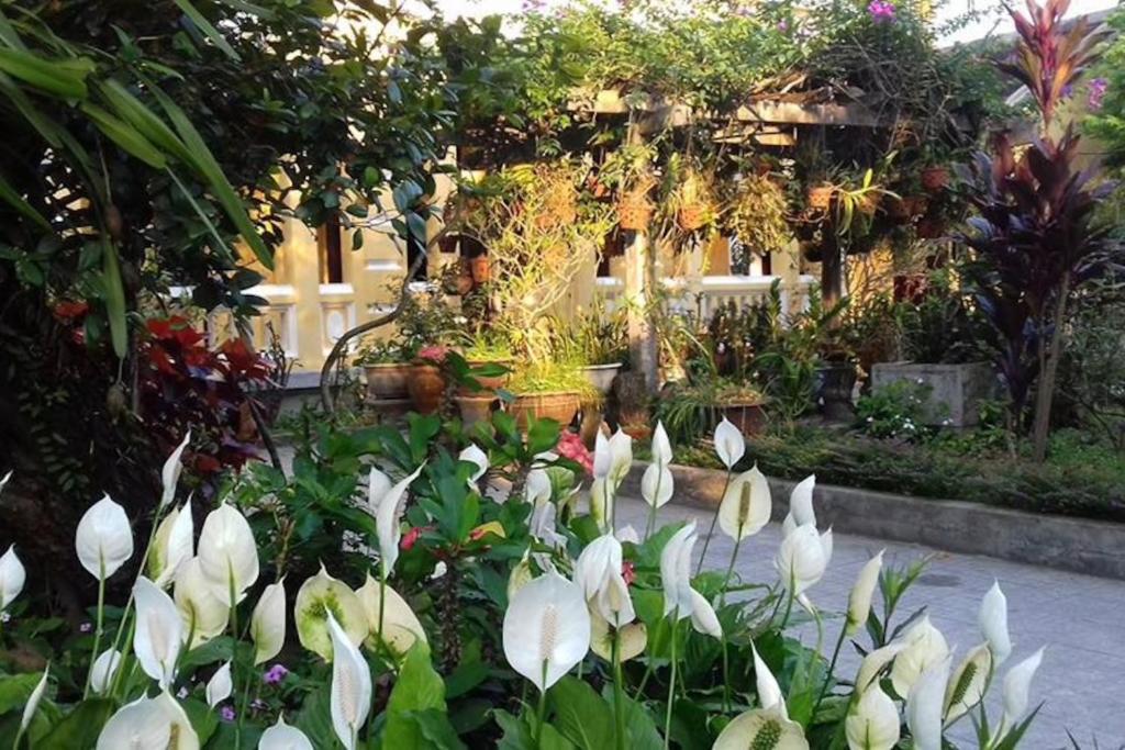 顺化赛乐民宿的一座花园,在一座建筑前方,花白色