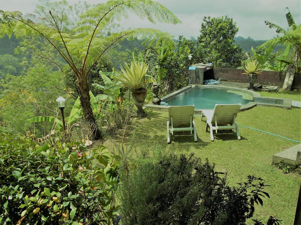 贝都古香格里拉旅馆的一个带两把椅子的庭院和一个游泳池