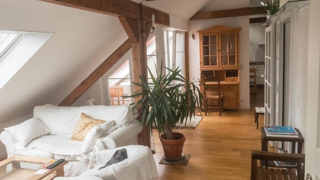 汉诺威Private Apartment & Hannover City Altstadt的客厅配有白色沙发和植物