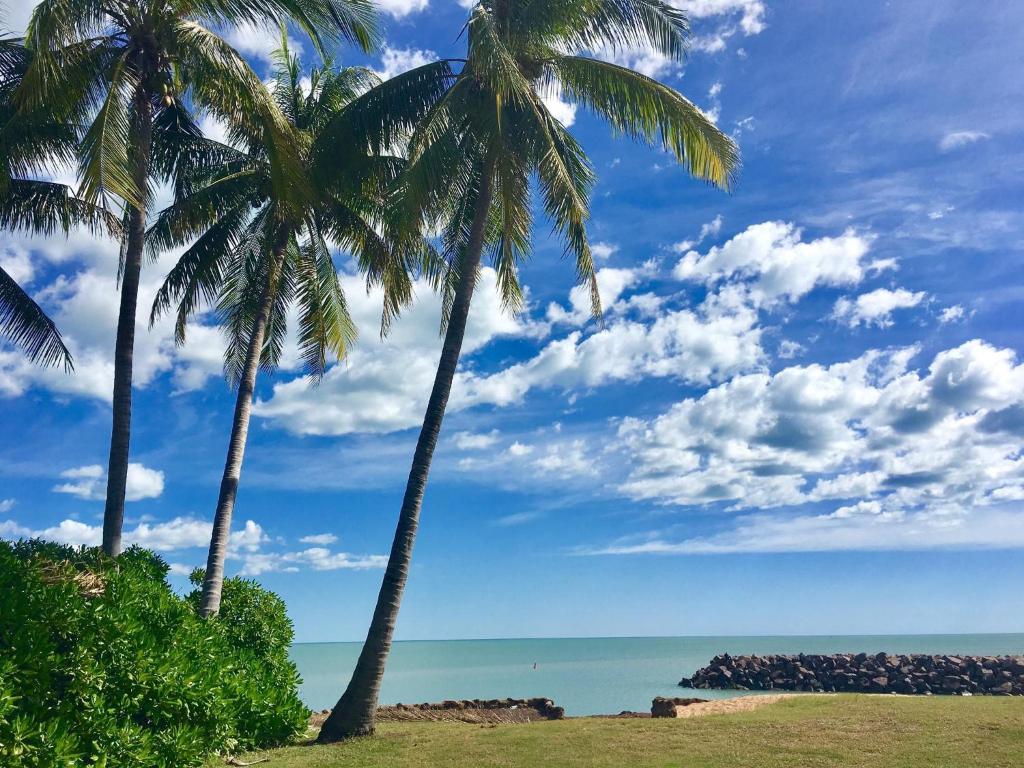 Dundee BeachDundee Beach Holiday Park的两棵棕榈树,在海滩上