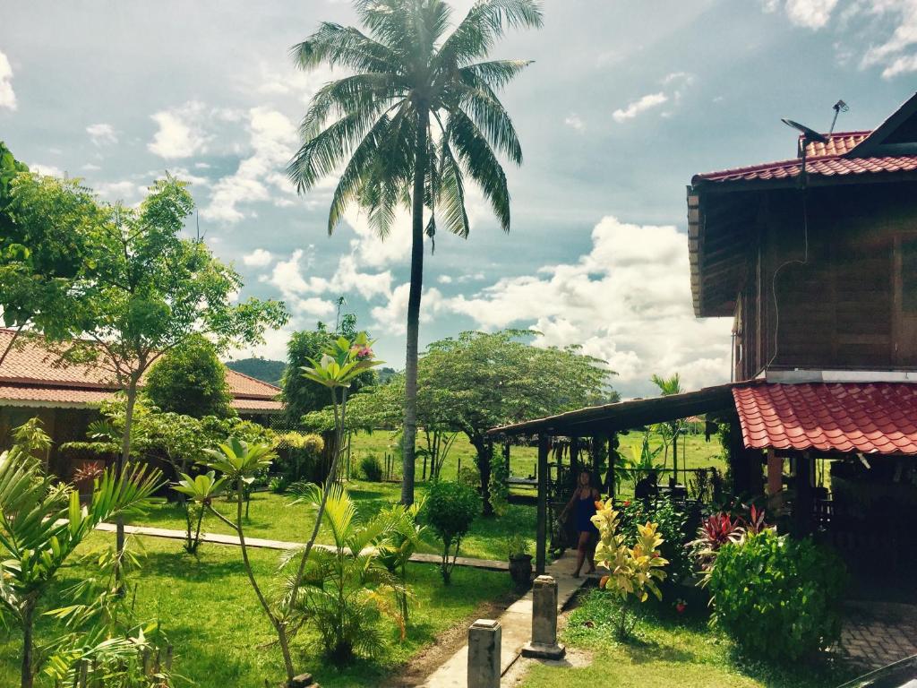 珍南海滩索卢纳旅馆的一座带建筑物的庭院中间的棕榈树