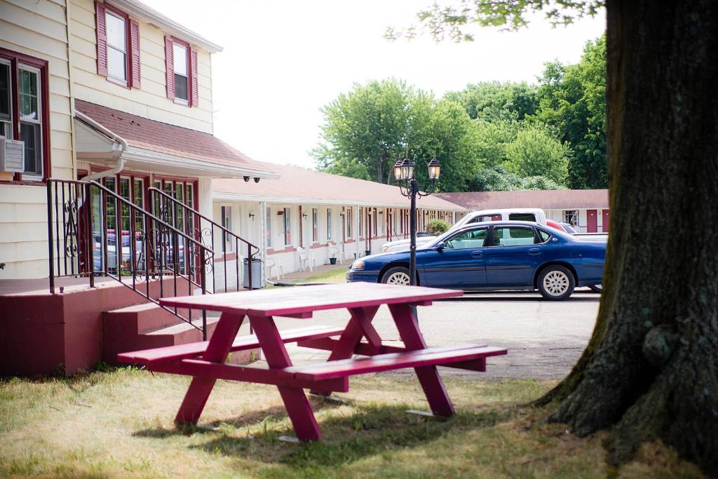 伊利Steelhead Inn的树屋前的野餐桌