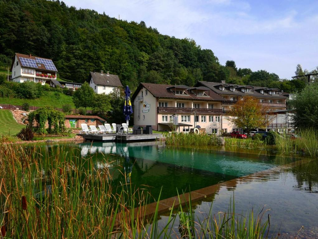 Heimbuchenthal克里斯特尔酒店的村庄前的一条河流