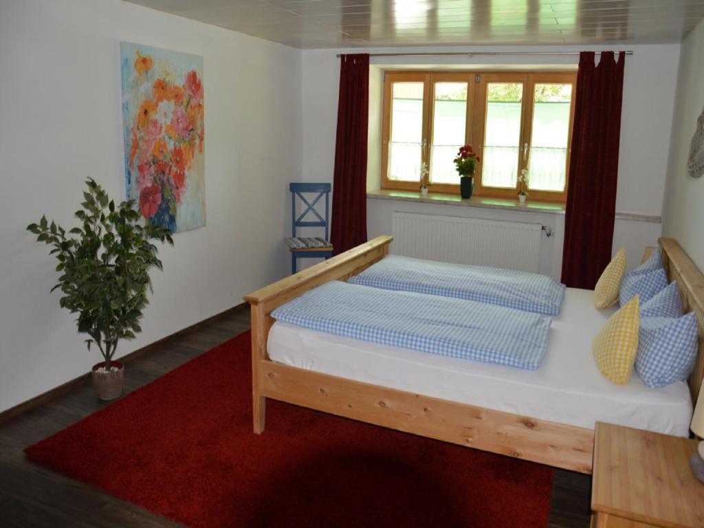 BetzigauLandgasthaus Mittelallgäu的一间卧室配有一张红色地毯和窗户的床