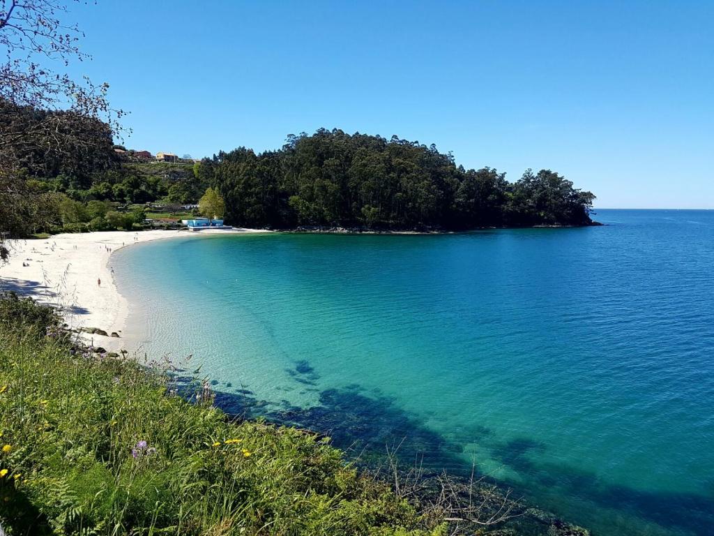 马林Hotel Villa de Marin的享有树木和水景海滩