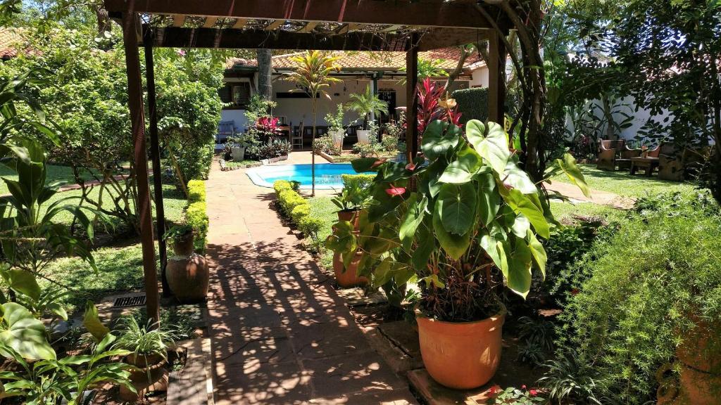 亚松森Apartamentos Don Gerardo的种有盆栽植物的花园和一个游泳池