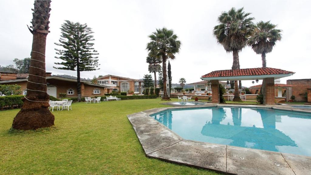 Zitácuaro莫纳卡别墅酒店的棕榈树庭院内的游泳池