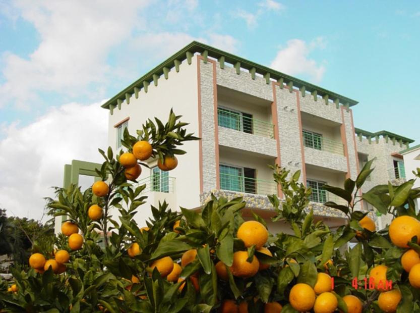 西归浦市努扬那阳度假屋的一座建筑前的橘子树