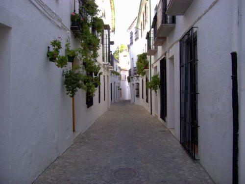 普里埃格·德·科尔多巴La Villa Priego de Cordoba的一条空洞的小巷,有白色的建筑和植物