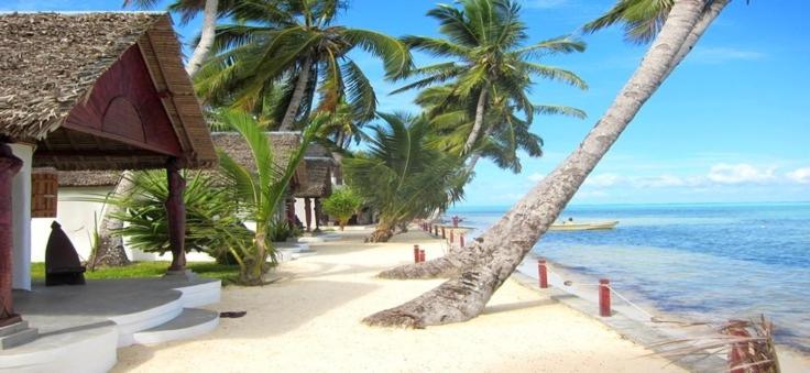 圣玛丽Hotel Club Paradise的棕榈树海滩,建筑和海洋