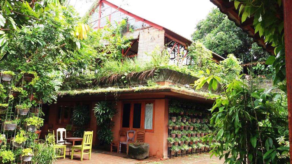 梭罗卢玛图里生态精品酒店的旁边是种植物的房子
