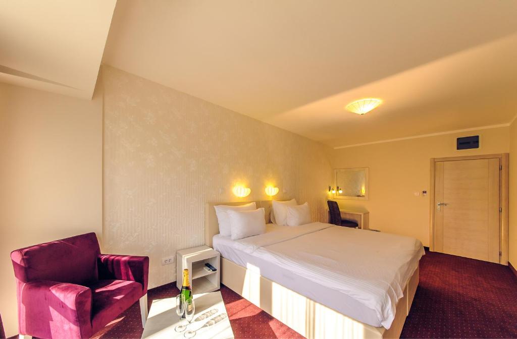 波德戈里察菲利亚酒店的配有一张床和一把椅子的酒店客房