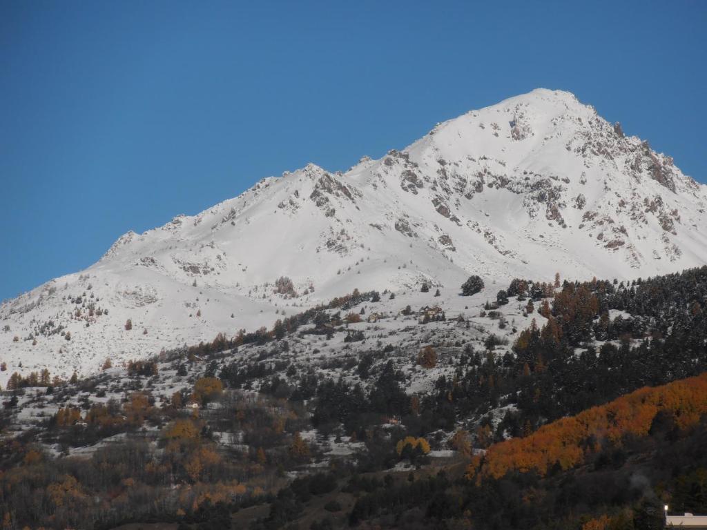 布里昂松Le chalet的前面有树木的雪覆盖的山