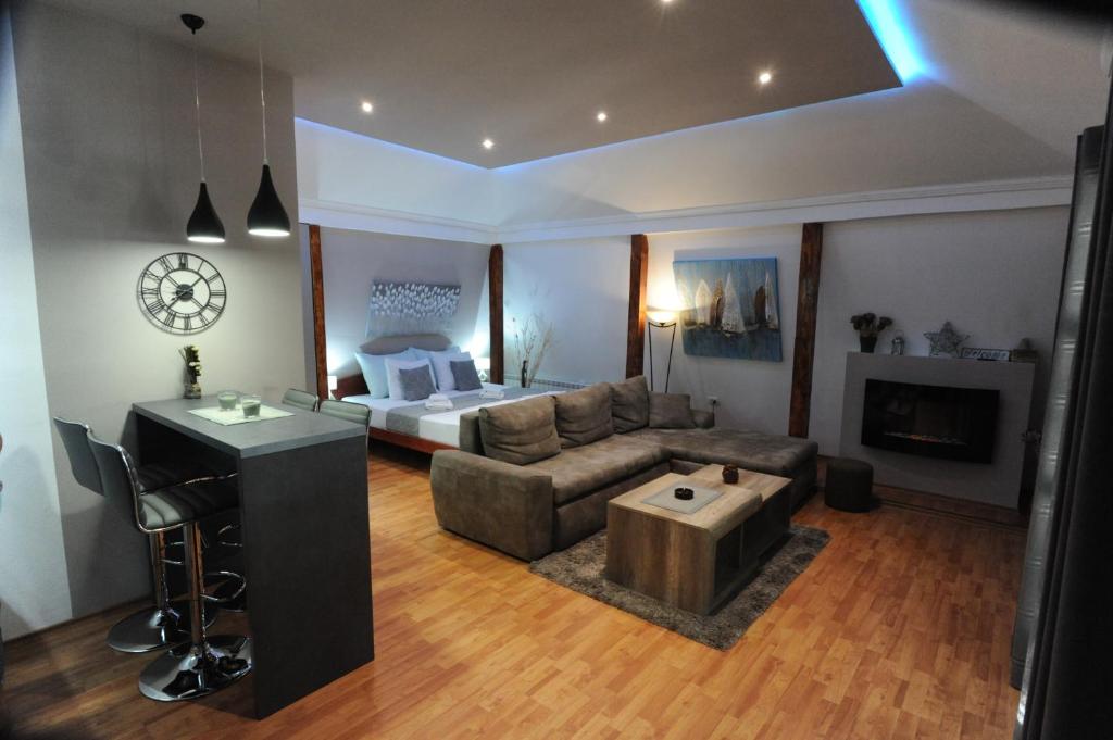 贝尔格莱德蓝色多瑙河公寓 的客厅配有沙发和1张床