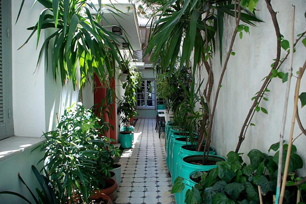 雅典帕格瑞什青年旅舍的楼里一排盆盆栽的走廊