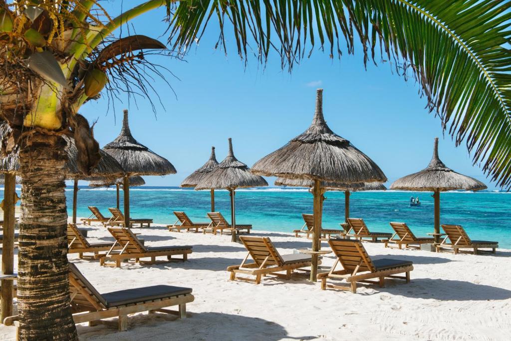 托舵道斯快乐周五酒店的海滩上设有椅子和遮阳伞,还有大海