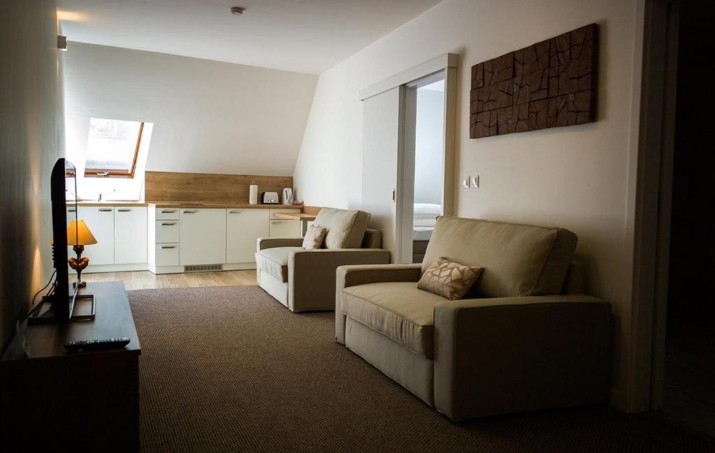 科马尔诺A7 Apartments的带沙发的客厅和厨房
