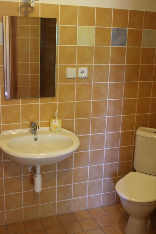 姆拉代布基Apartmány Mladé Buky的一间带水槽和卫生间的浴室