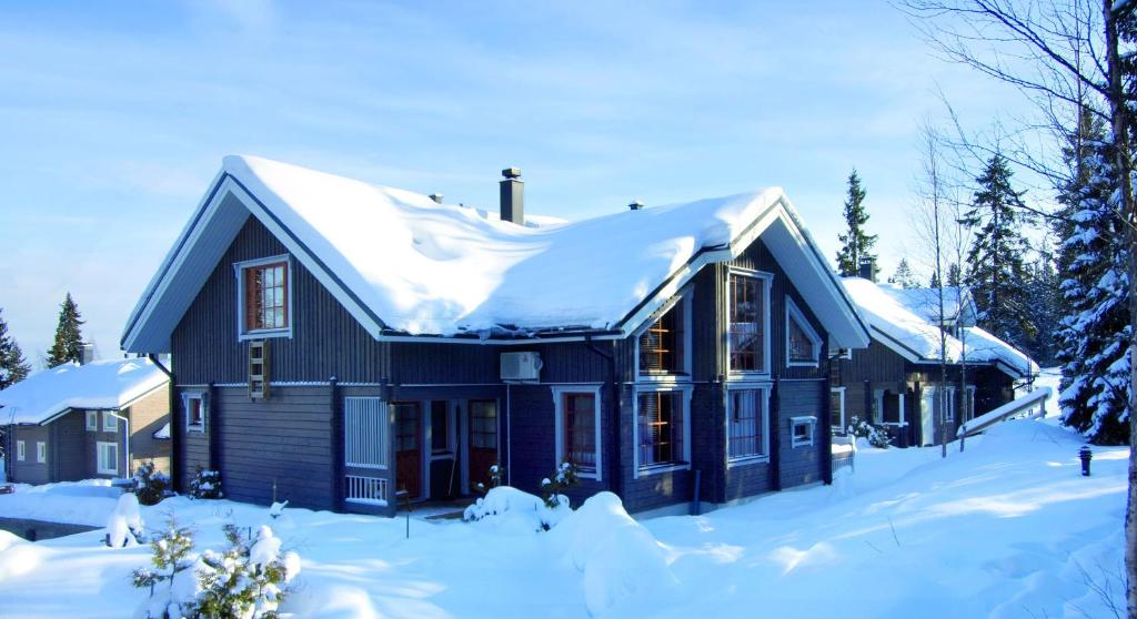沃卡蒂Vuokatin Aateli Villa Ruhtinatar的蓝色的房子,上面有雪