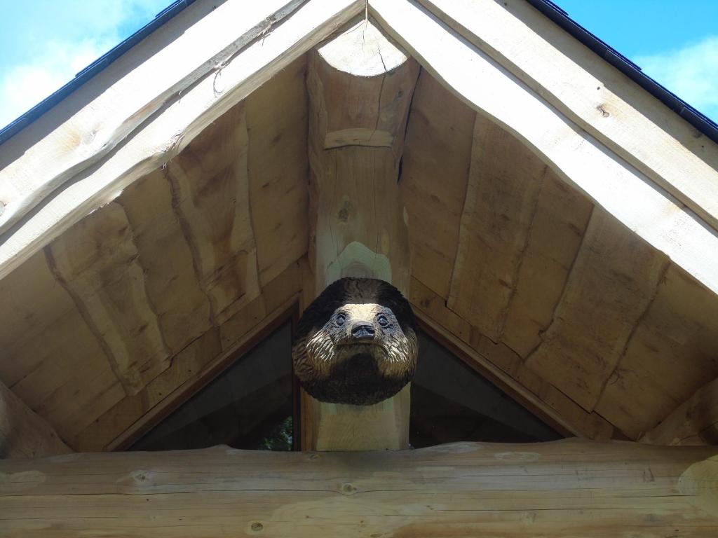 特尔福德Badger's Wood at Hoo Farm的一只狗把头伸出屋顶