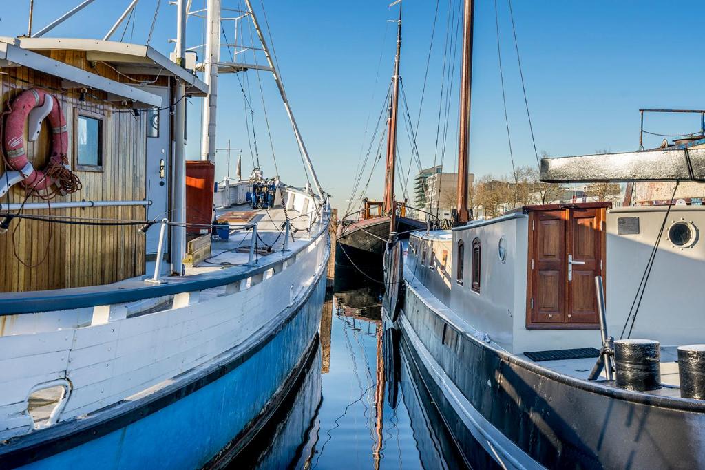 阿姆斯特丹阿斯利漂浮船屋的两艘船在水中彼此对接