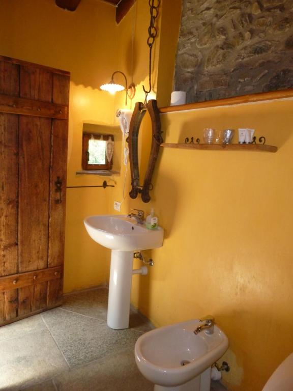 切萨纳·都灵尼斯Agriturismo Barba Gust的一间带水槽和卫生间的浴室