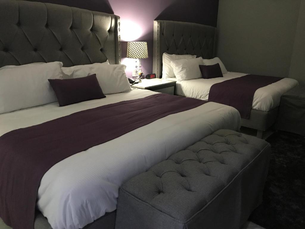 新拉雷多Gran Hotel Cantera La plaza的酒店客房,设有两张床和一张沙发