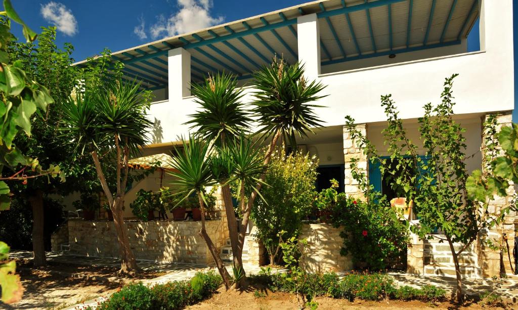德里奥斯涅斐勒酒店的前面有棕榈树的房子
