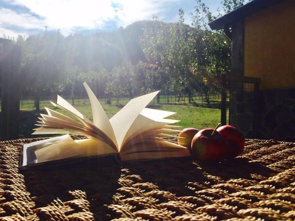 莫尔曼诺Lo Chalet della Principessa的一本有苹果的开放式书和一本有纸飞机的书