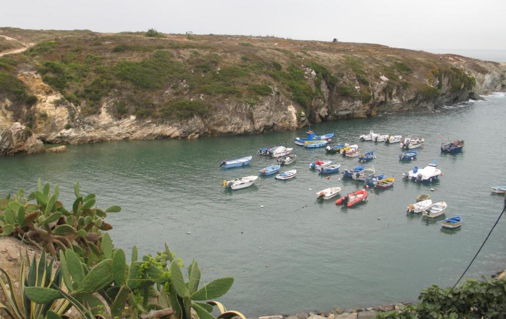 科武港Casa de Mar @ Porto Côvo的一群船在水体中