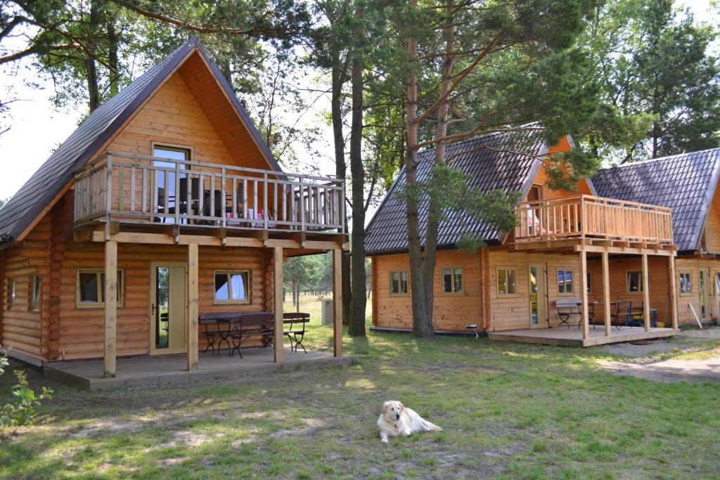 什切齐内克Camping Szczecinek Domy Wypoczynkowe的小木屋前方有一只狗