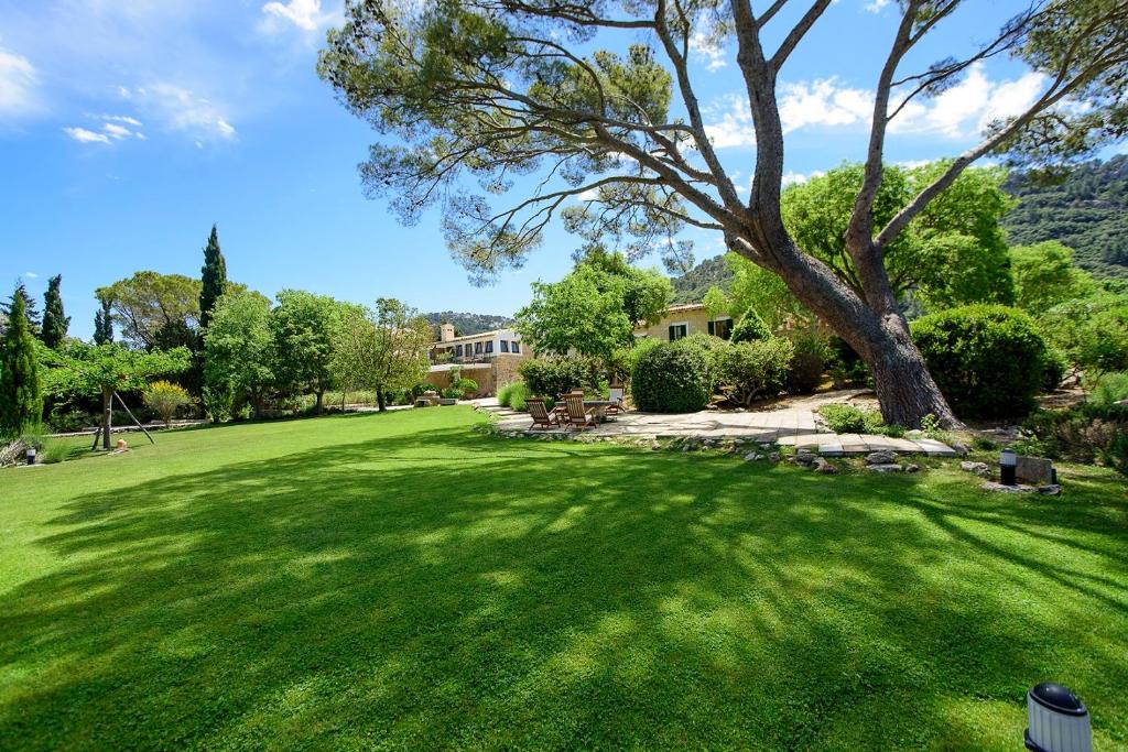 奥里安特桑帕劳庄园酒店的绿树成荫的院子