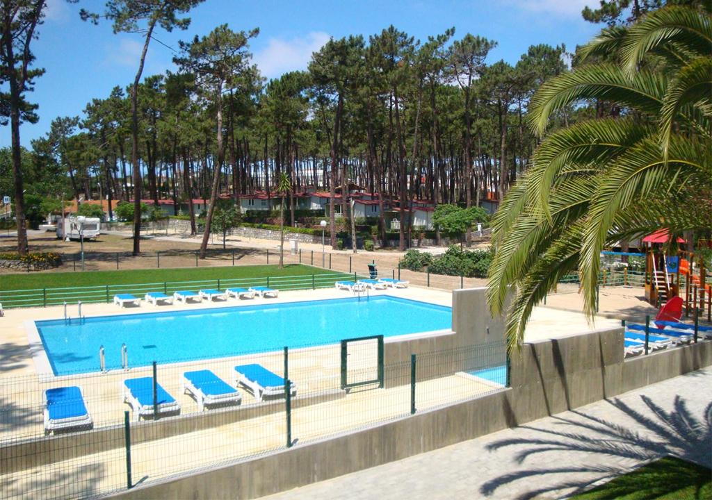 纳扎雷Parque de Campismo Orbitur Valado的公园内一个带躺椅的游泳池