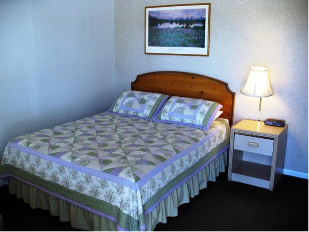 克拉马斯福尔斯金西汽车旅馆的一间卧室配有一张床和一个带灯的床头柜