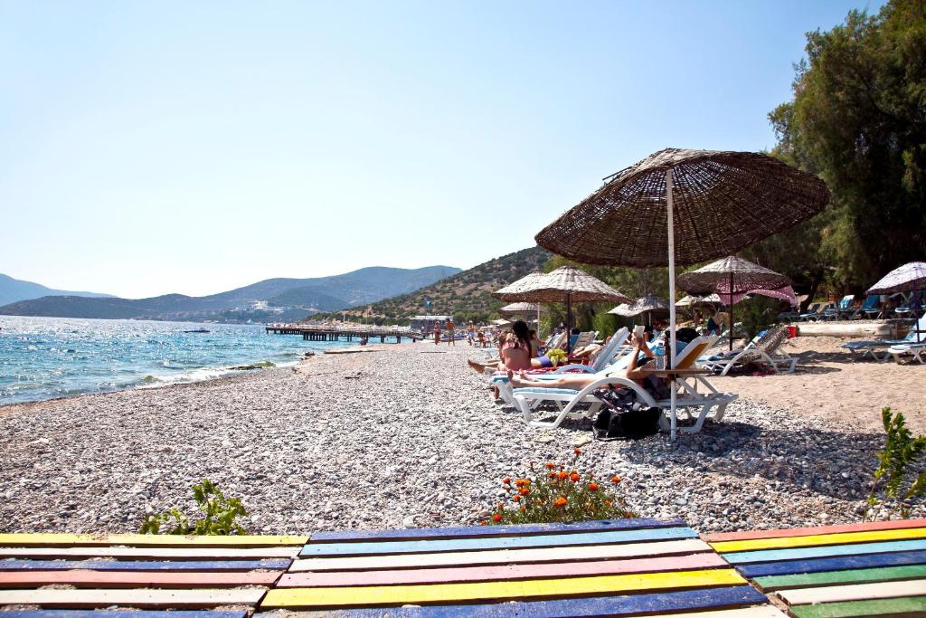 雅丽丝弗里克Şahin Motel & Restaurant的一群人坐在海滩上,拿着遮阳伞