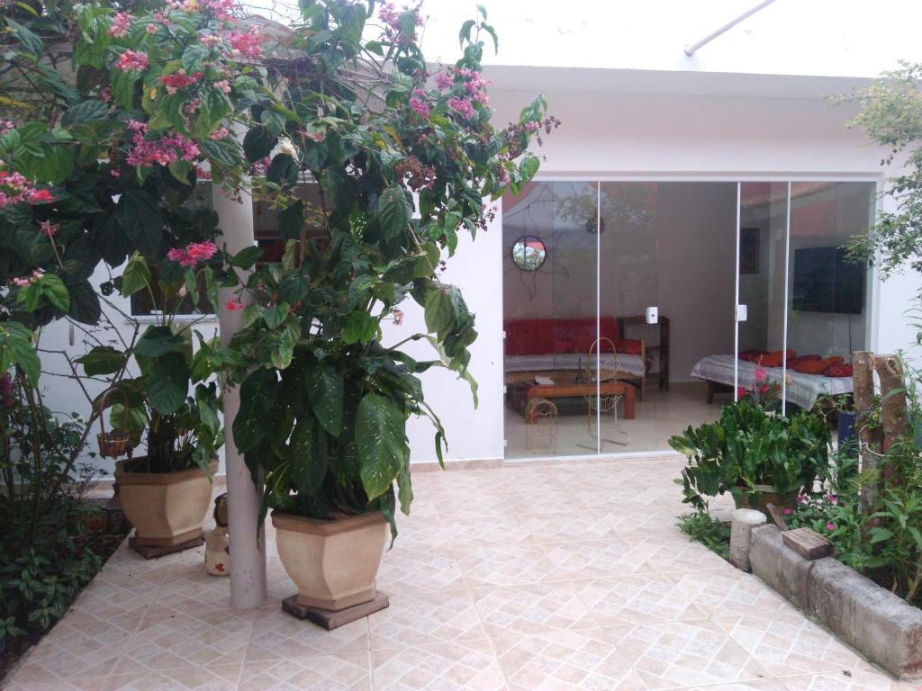 卡拉瓜塔图巴Caraguatatuba的一间拥有几株盆栽植物的房间和一间客厅