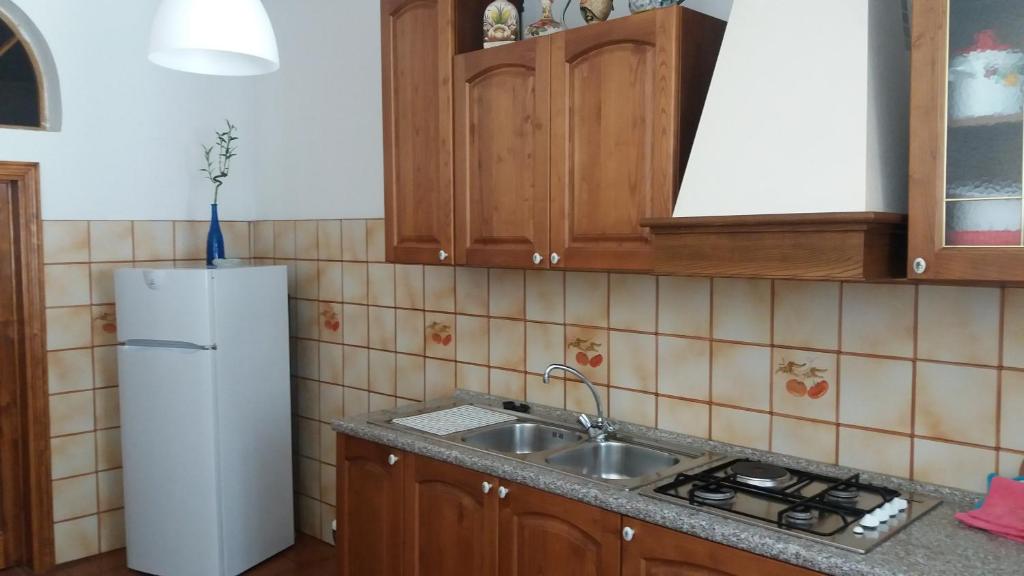 皮斯托亚Appartamento Isabella的厨房配有水槽和冰箱