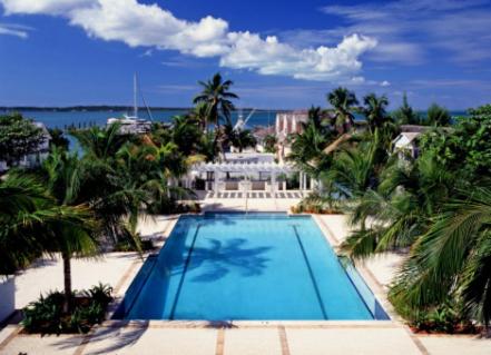 哈勃岛情人节滨海度假酒店的享有棕榈树游泳池的顶部景致