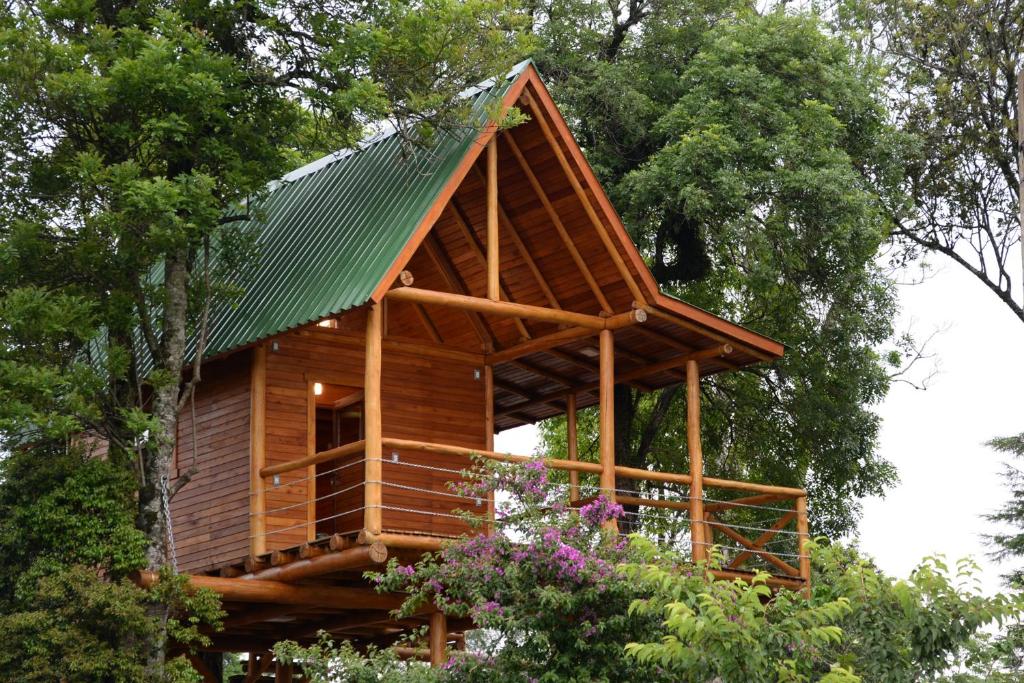 南圣克鲁斯Casa na Árvore的绿屋顶树屋
