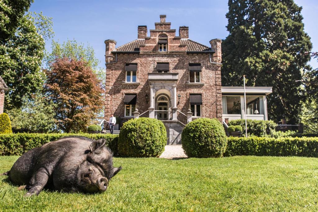 鲁尔蒙德哈特姆古堡酒店的躺在房子前面的草上的大猪