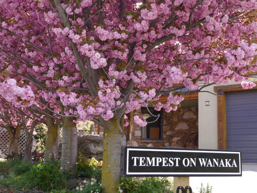 瓦纳卡滕培瓦纳卡住宿加早餐旅馆的车库前一棵带粉红色花的树