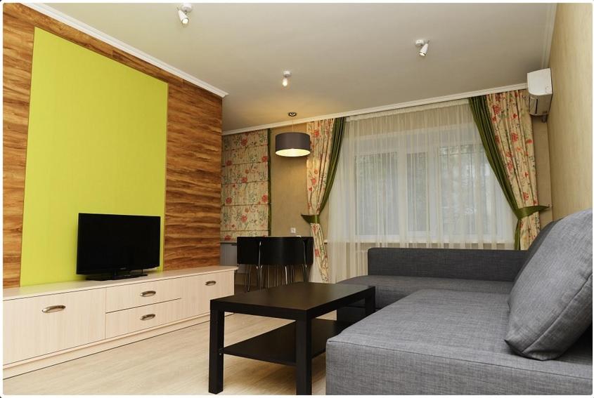 卡拉甘达Apartment on Pichugina的带沙发和电视的客厅
