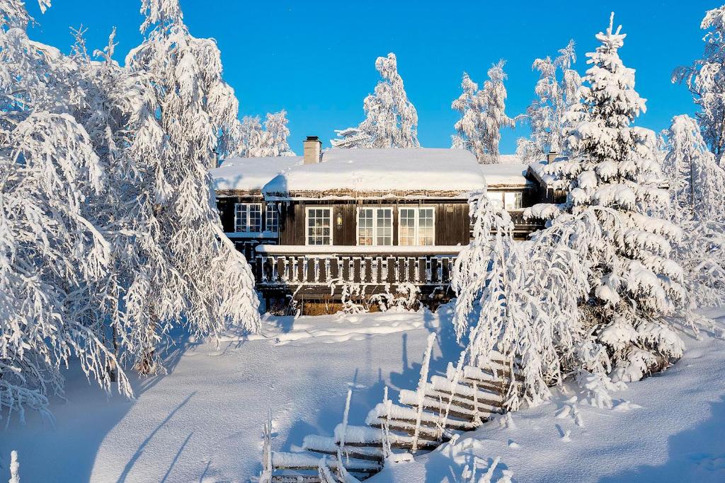 贝特斯托尔Bitigrenda N的雪覆盖着雪覆盖的树木的房子