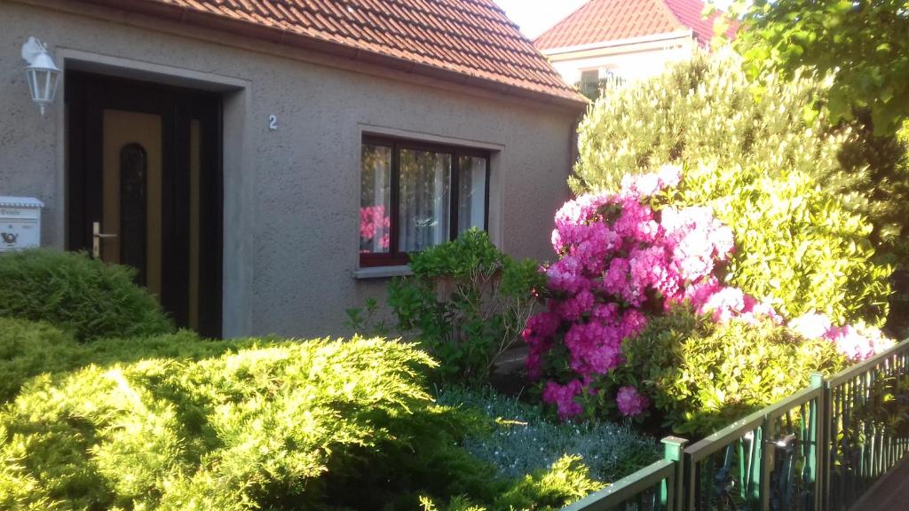 奥茨塞巴德·迪尔哈根Ferienwohnung in Boddennähe的围栏前有灌木和鲜花的房子