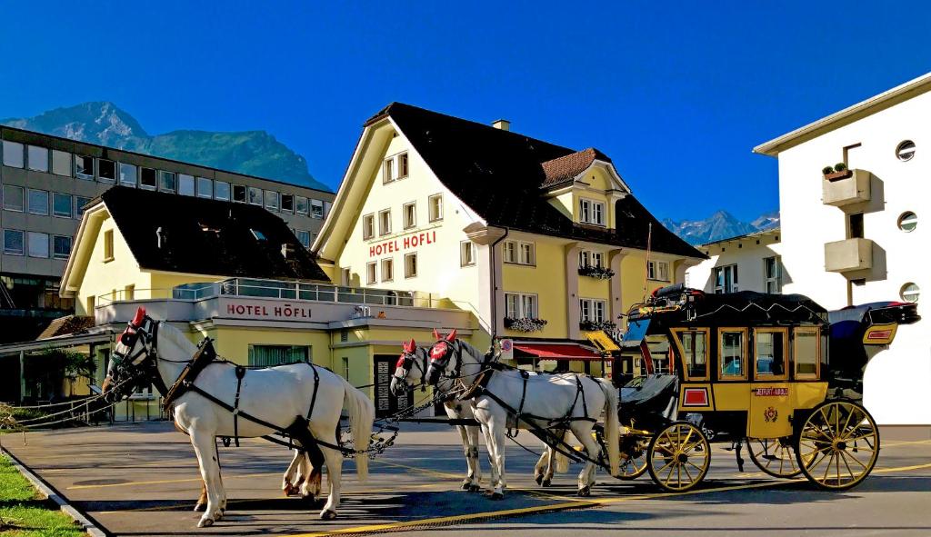 阿尔特多夫胡夫利酒店的两匹白马在街上拉马
